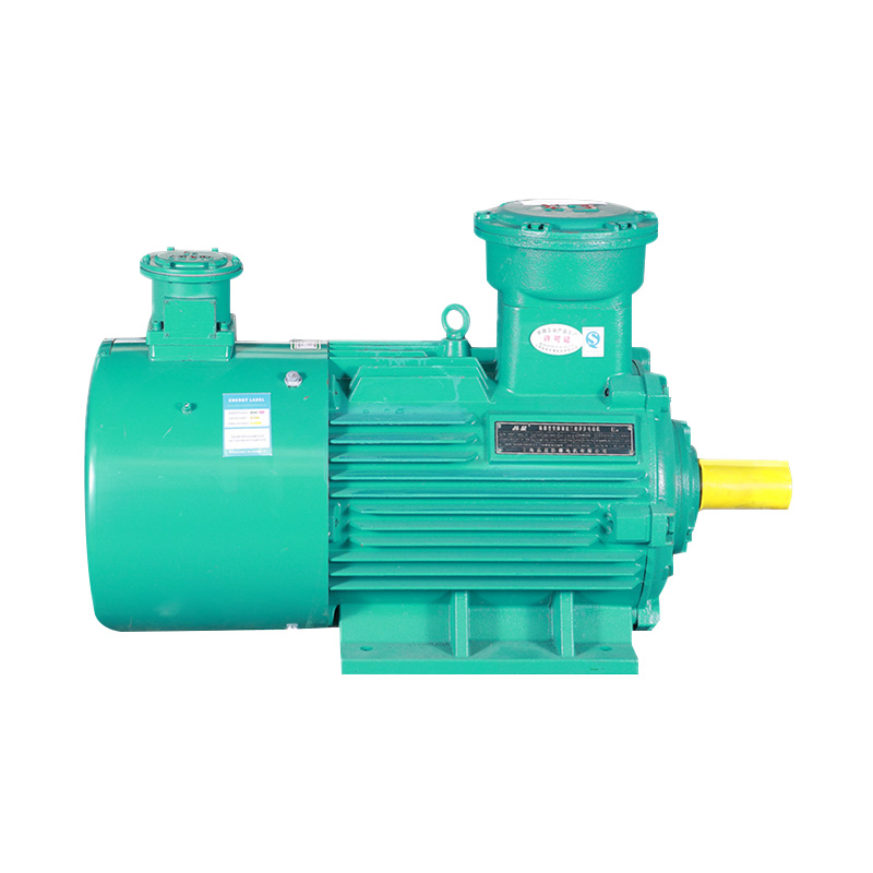  low voltage motor 